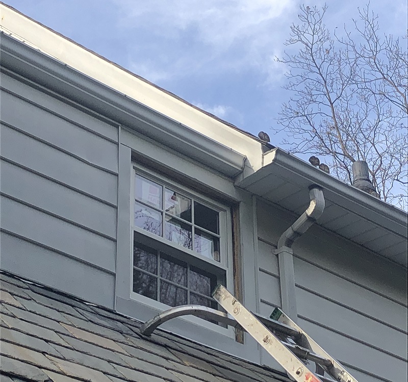 Energy Star rated replacement windows